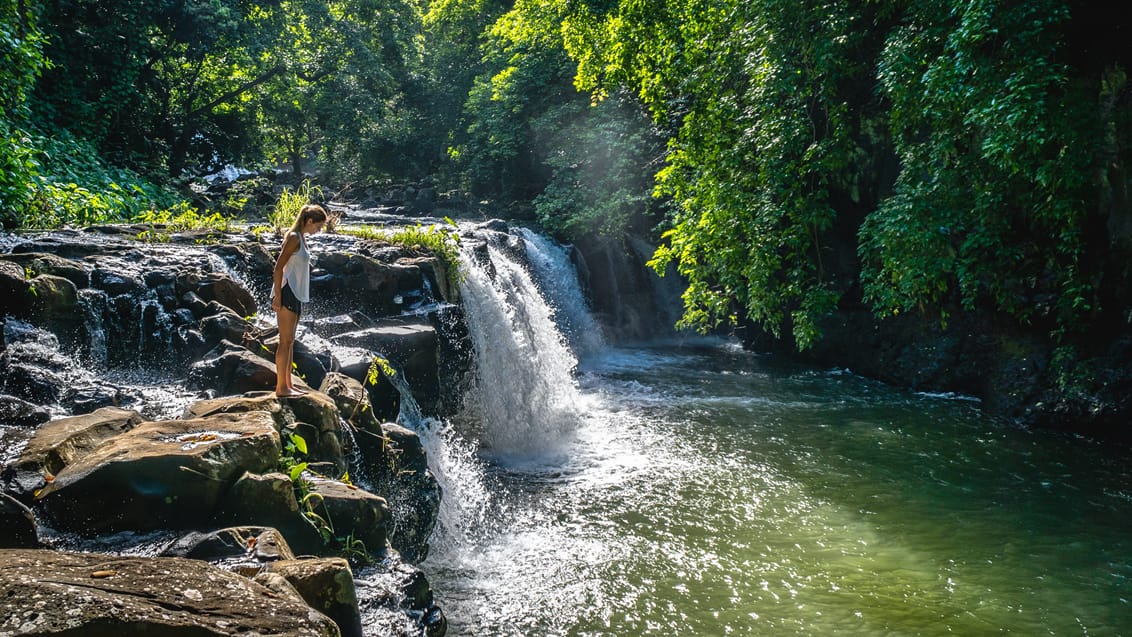 Jungleoplevelse, Mauritius