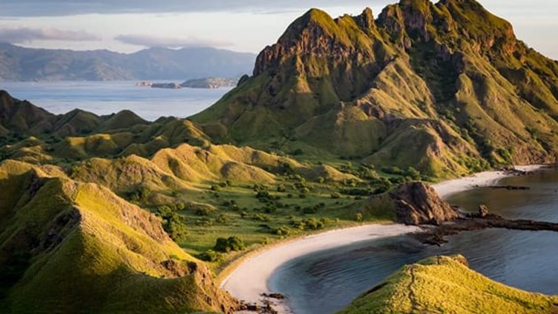 Oplev Komodo Nationalpark