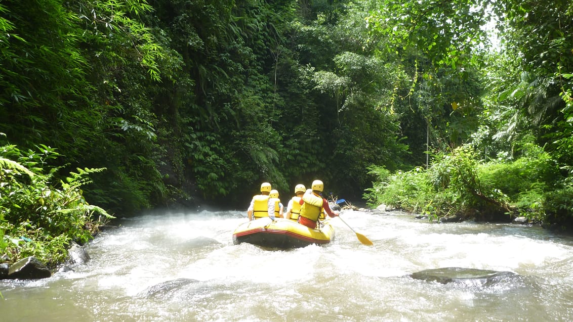 Rafting på Bali