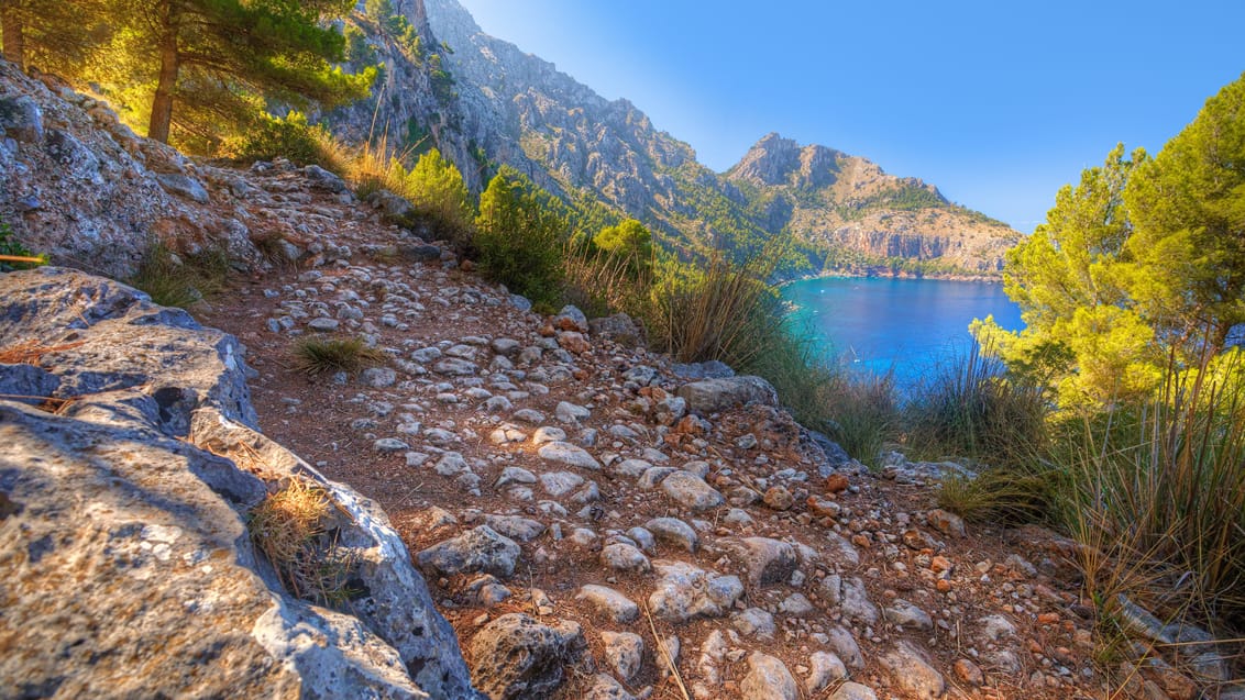 Flot vandrerute med udsigt til middelhavet, Mallorca