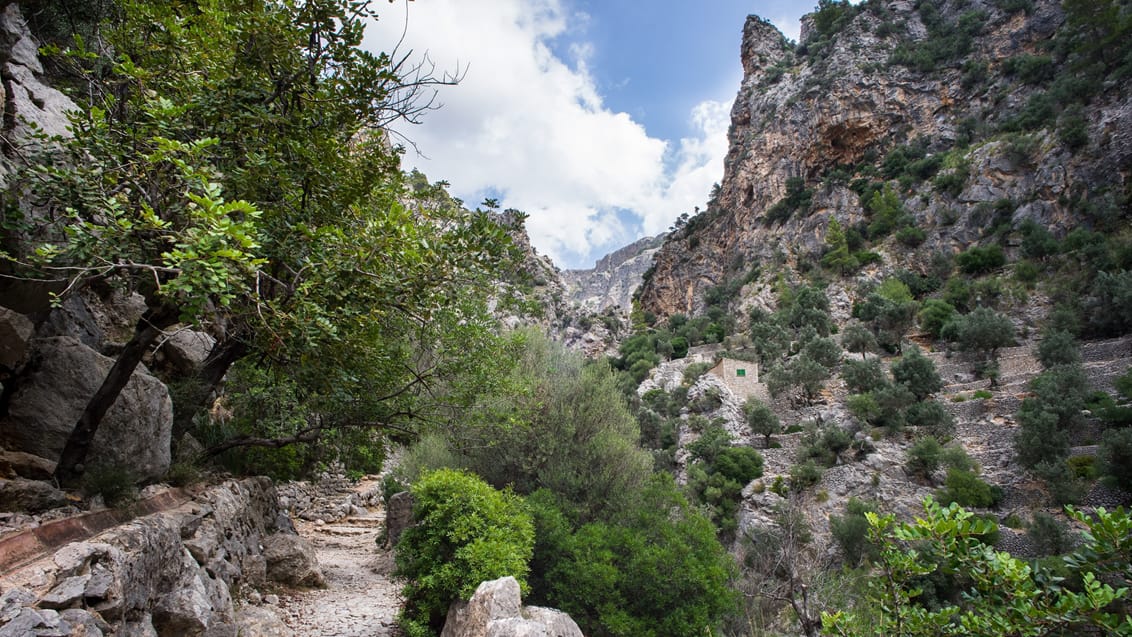 Vandring af GR221 ruten, Soller, Mallorca