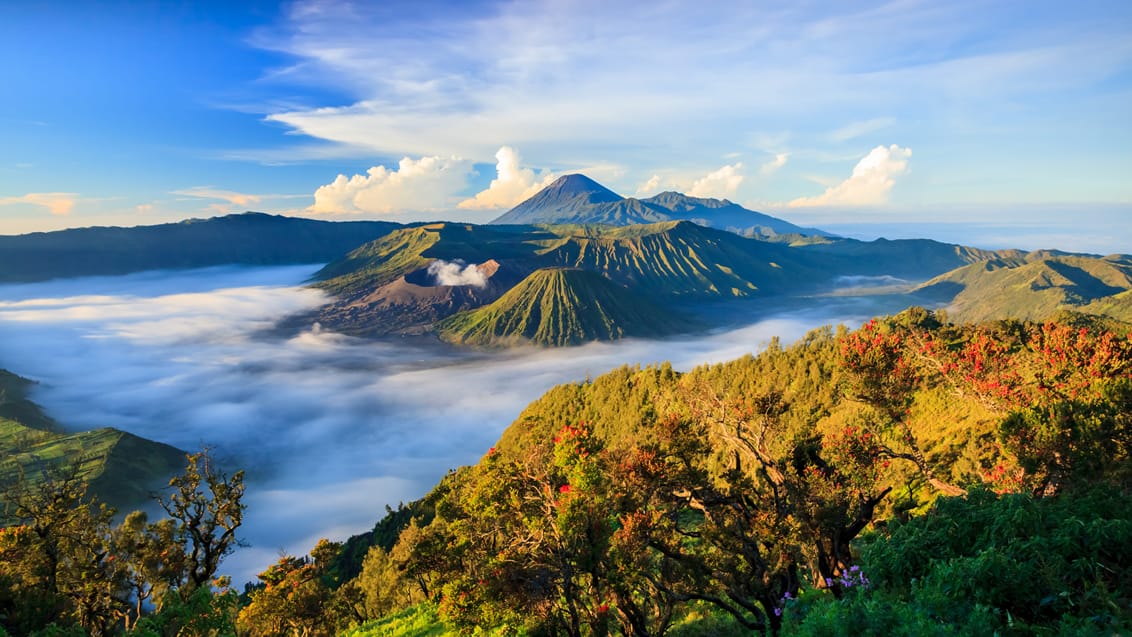 Oplev Mount Bromo på Java