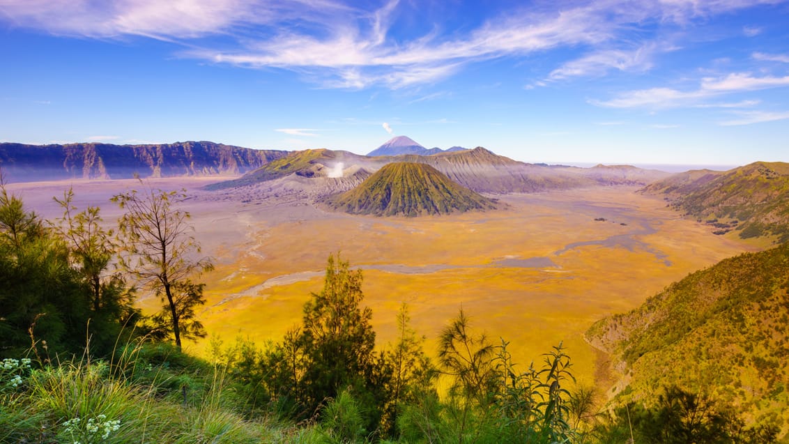 Oplev Mount Bromo på Java