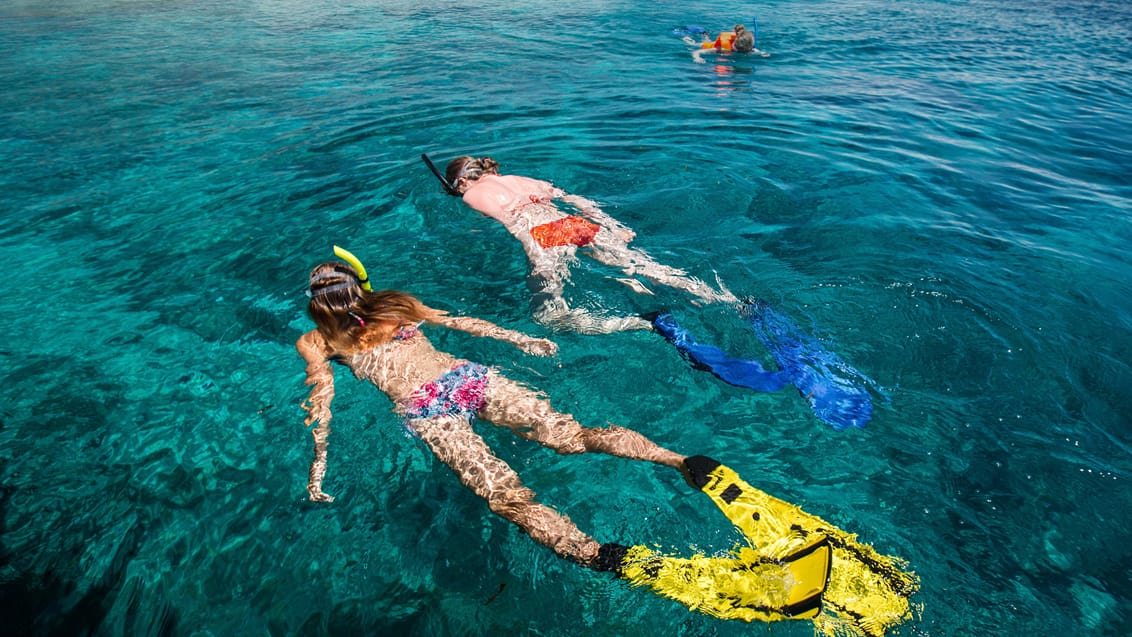 2020 - Oplev fantastisk snorkling ved Gili Islands