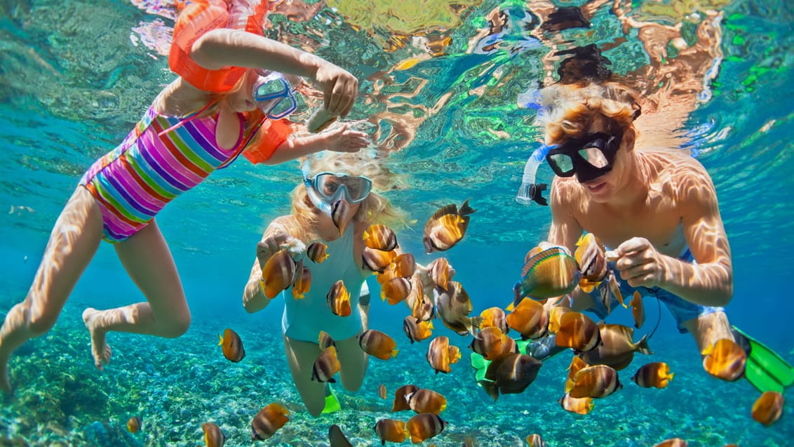 2020 - Oplev fantastisk snorkling ved Gili Islands