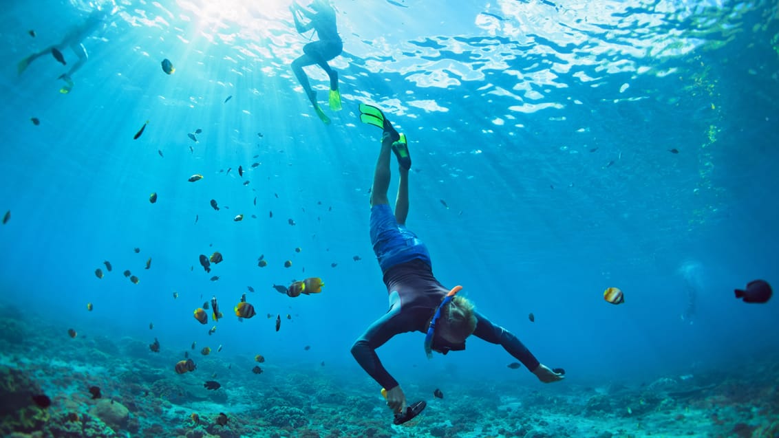 Oplev fantastisk snorkling ved Gili Islands