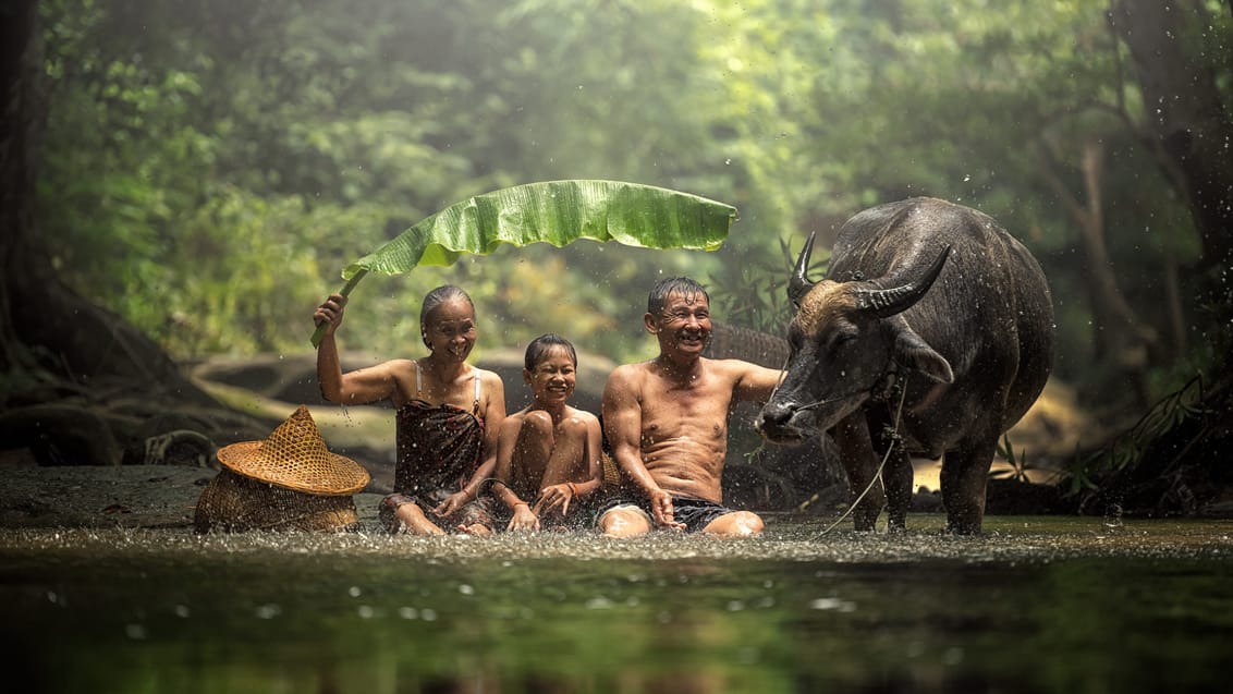 Udforsk Ubud på egen hånd