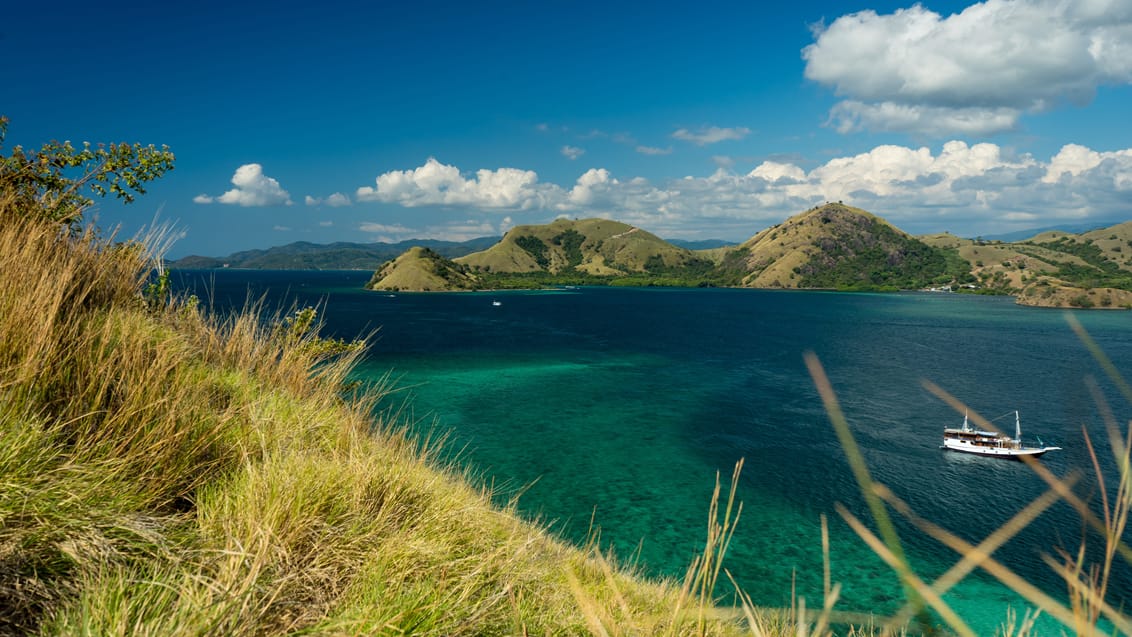 Oplev Komodo Nationalpark i Indonesien