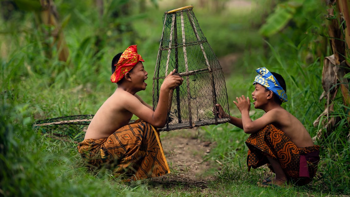 Udforsk Ubud på egen hånd