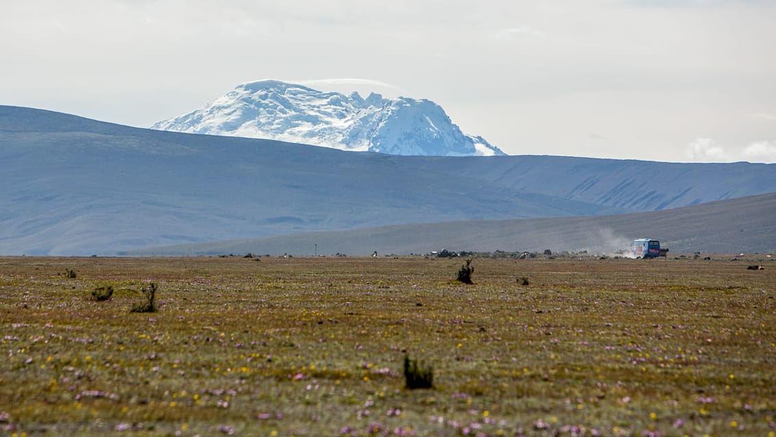 Oplev den ultimative frihed med et buspas i Ecuador