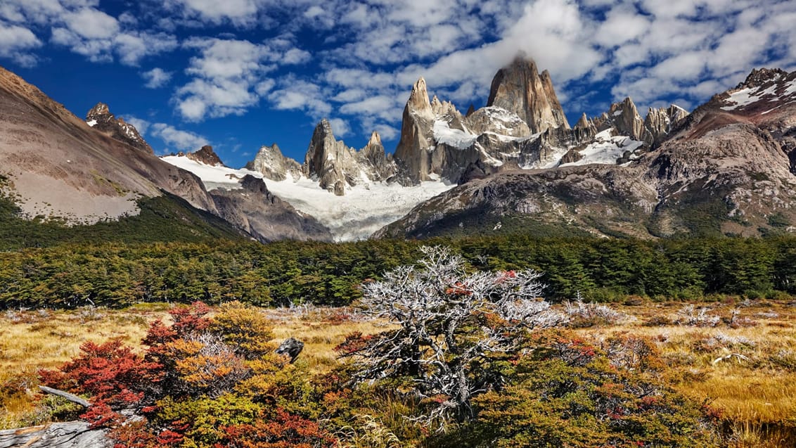 Der findes masser af vandreruter fra El Chalten till Fitz Roy i Patagonien