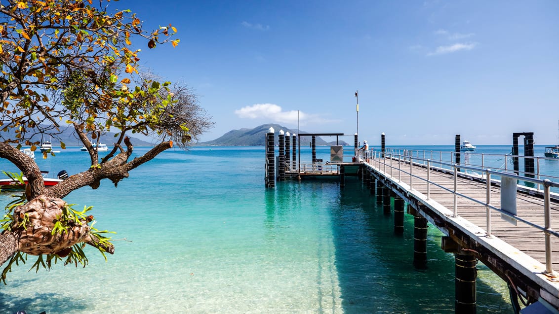 Fitzroy Island