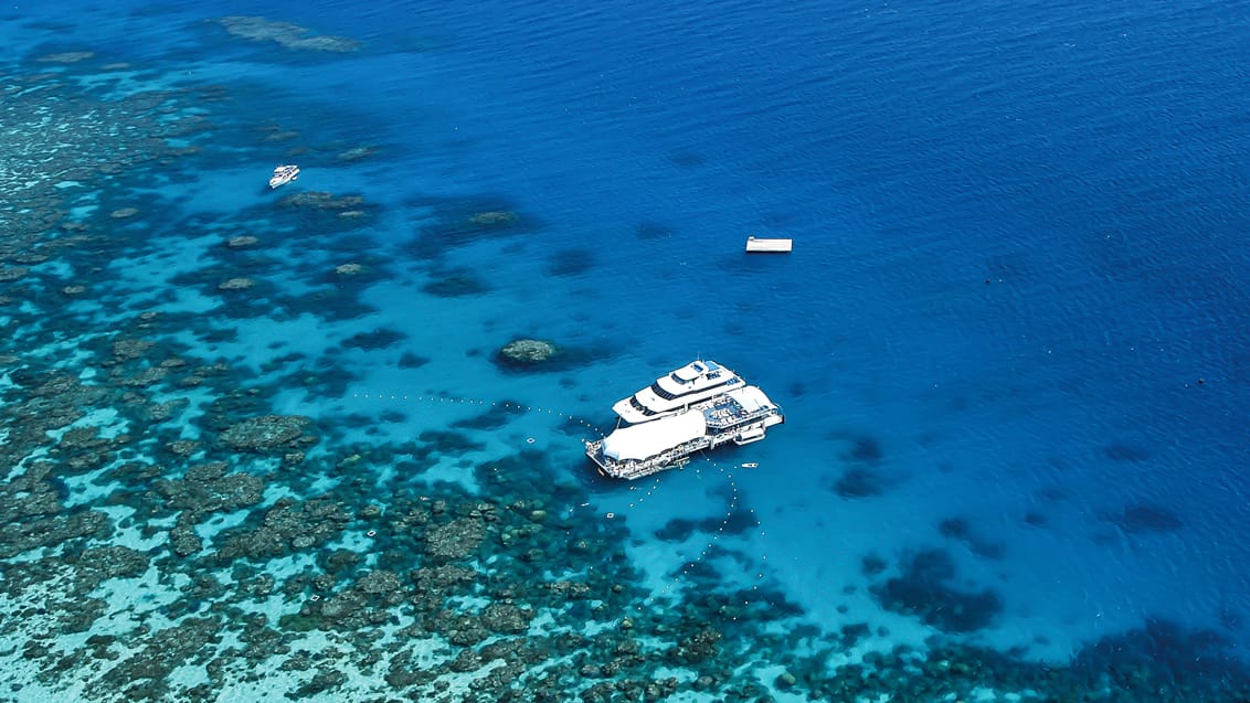Tag en bådtur ud på Great Barrier Reef