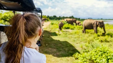 Spændende elefantsafari i Minneriya Nationalpark