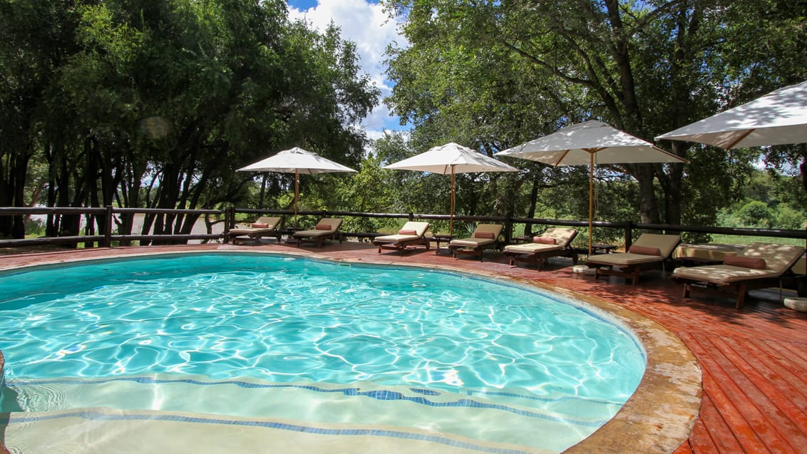 Nyd poolen på Mplala Safari Lodge