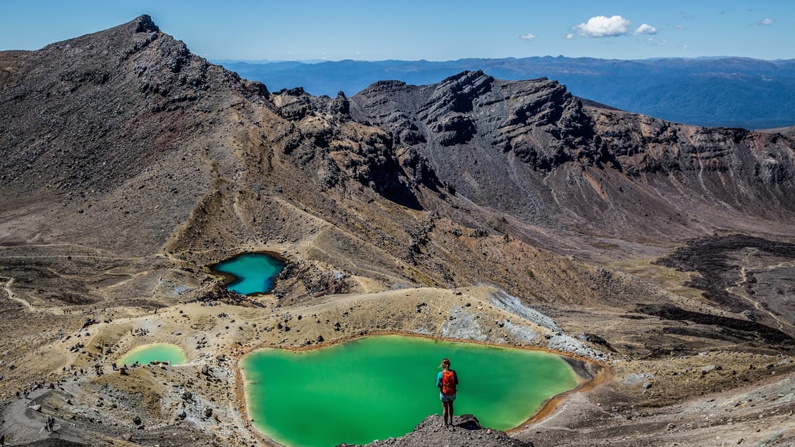 Tongariro Crossing betragtes som det absolut bedste dagstrek i New Zealand