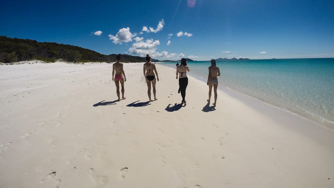 I land på Whitehaven Beach, Whitsunday Islands