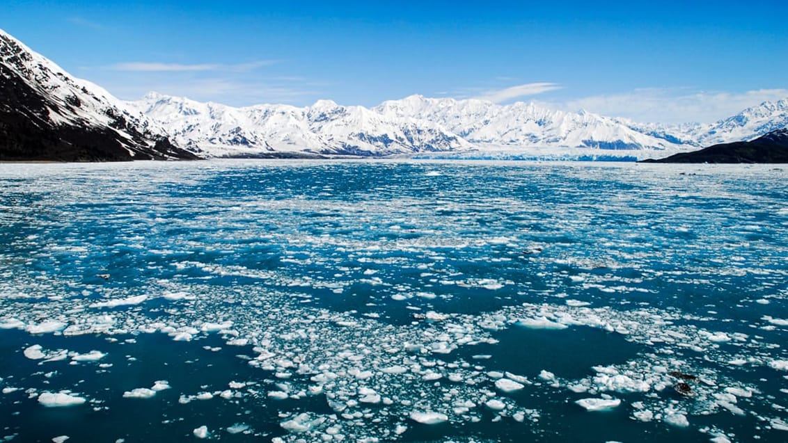 Tag med Jysk Rejsebureau på luksusrejse til Canada og Alaska