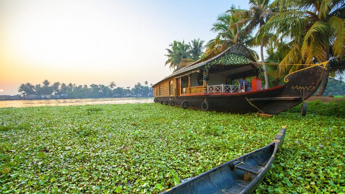 Backwater i Alleppey