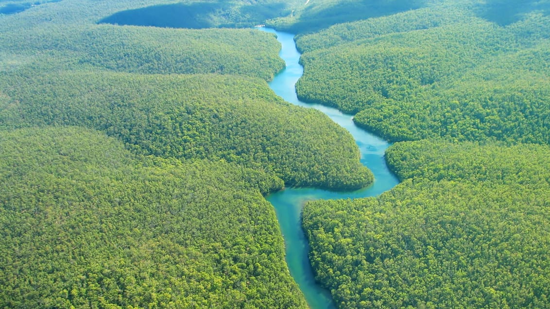 Amazonfloden
