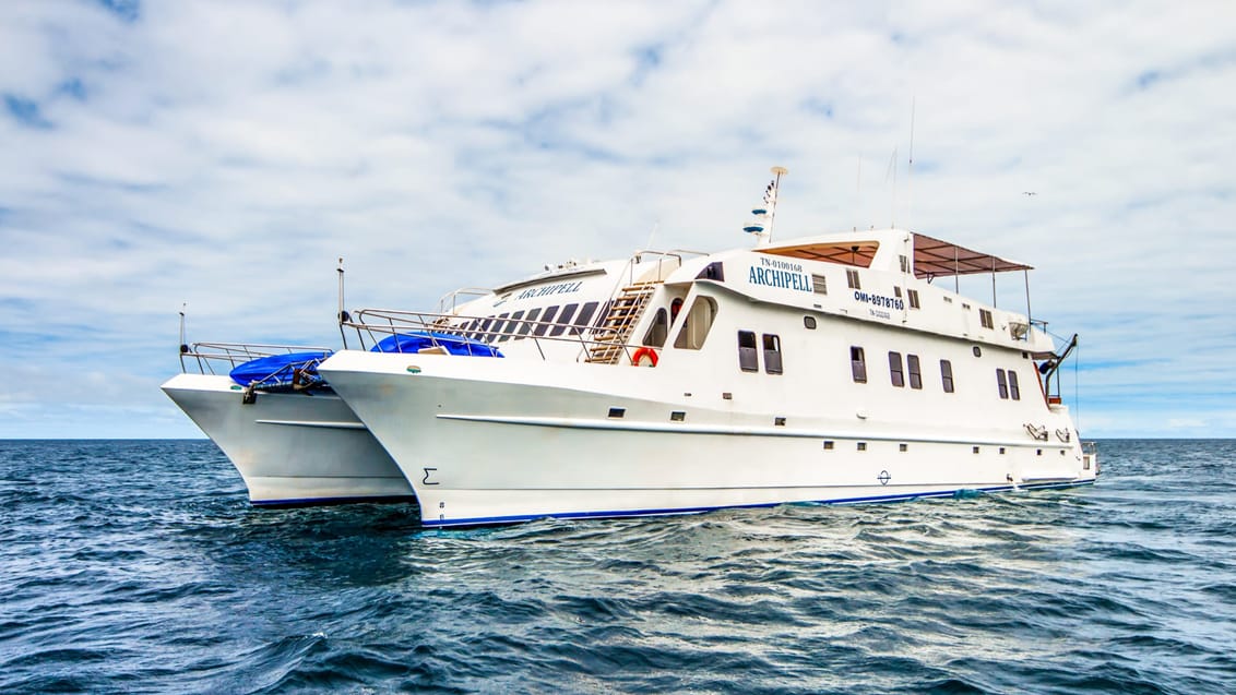 Archipel I er en katamaran med plads til 16 passagerer fordelt i 8 kahytter. Med Archipel I får du en unik sejloplevelse ved Galapagos-øerne