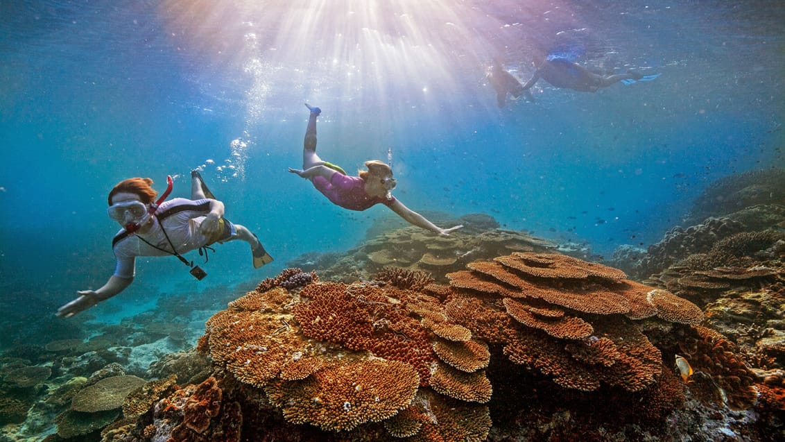 Tag børnene med på snorkeltur ved Great Barrier Reef