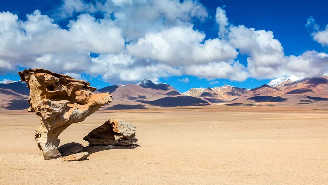 Arbol de Piedra i Salar de Uyuni