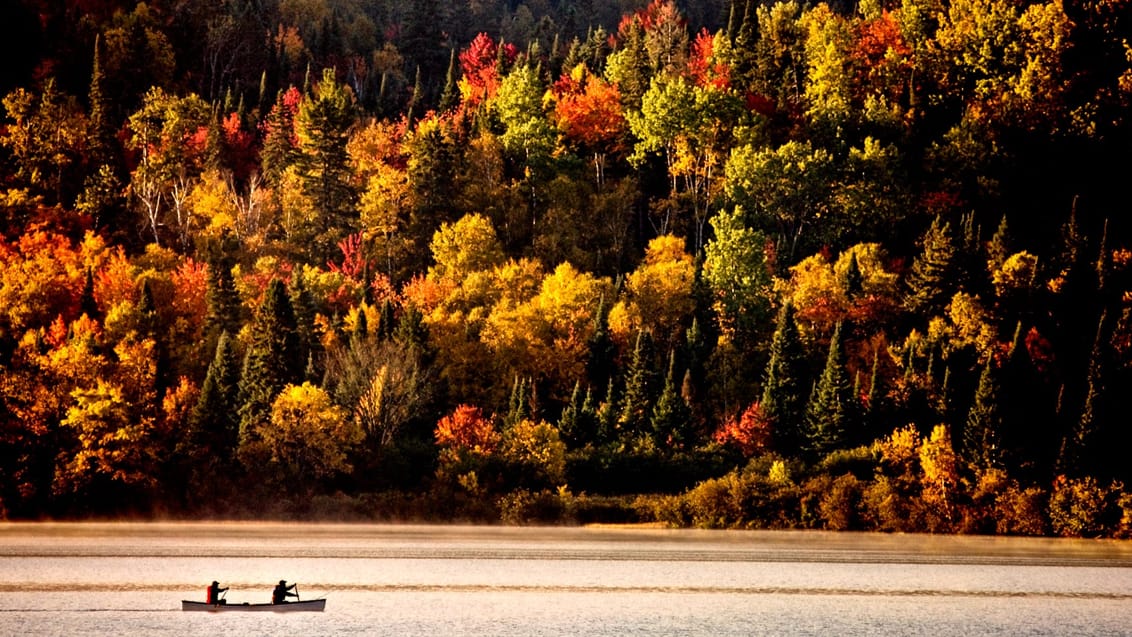 Pak rygsækken med en god frokost og tag på kano-eventyr i Algonquin Provincial Park