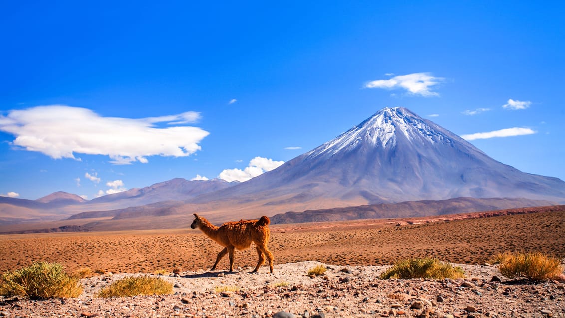 Licancabur vulkanen i Atacamaørkenen