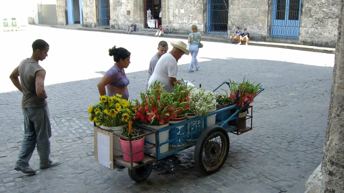 Lokal blomsterhandler