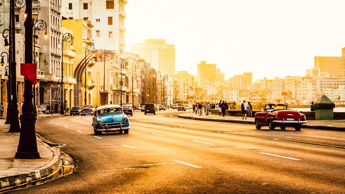 Gamle biler på Malecón i Havana