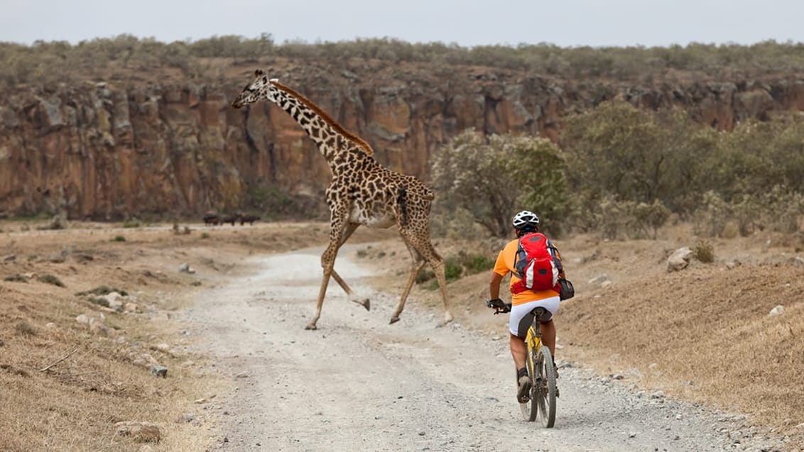 Cykelsafari i Lake Mburo Nationalpark