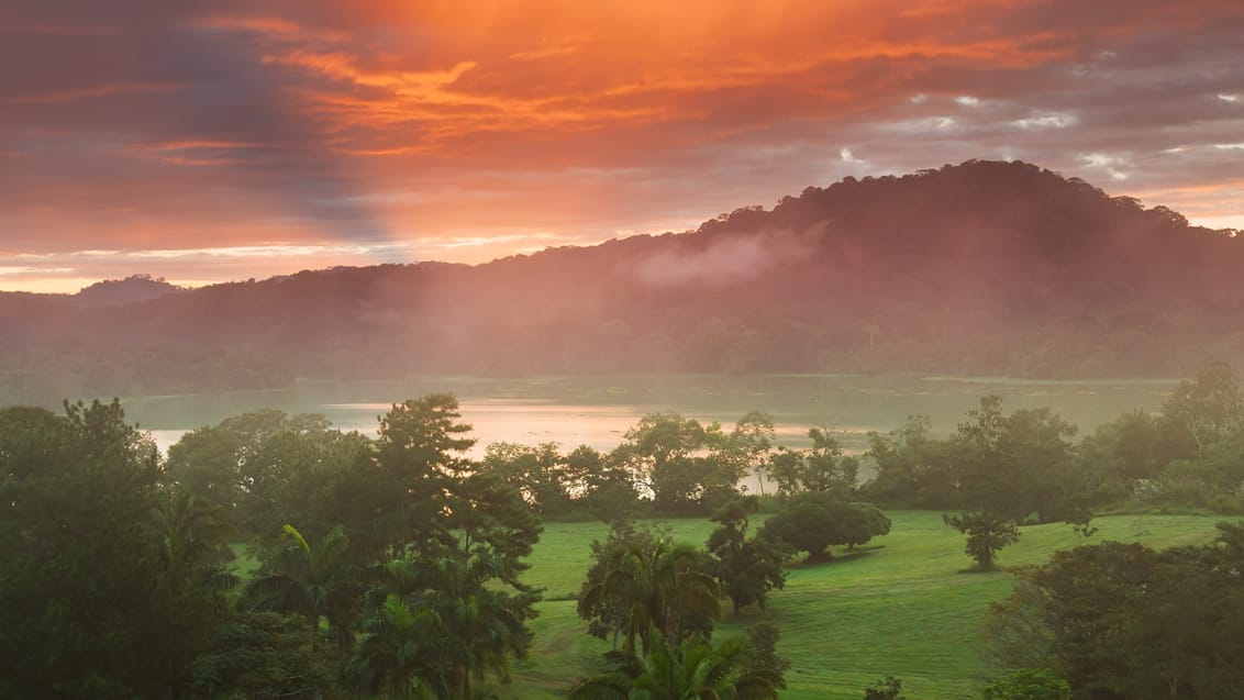 Darien Nationalpark i Panama.