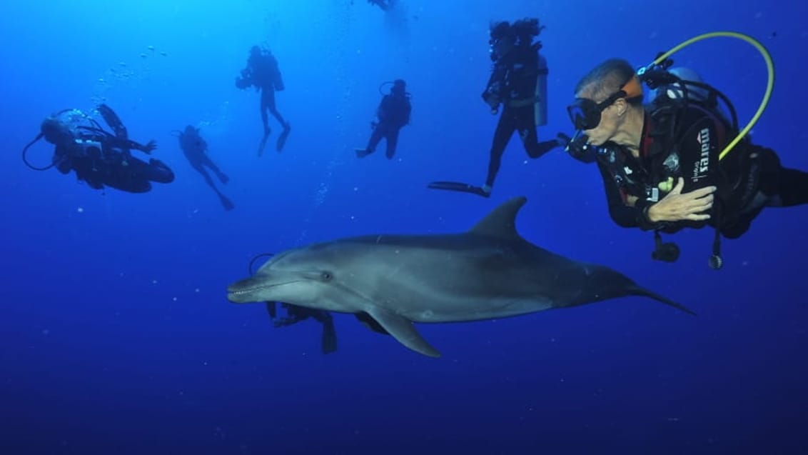 Delfiner, Tahiti