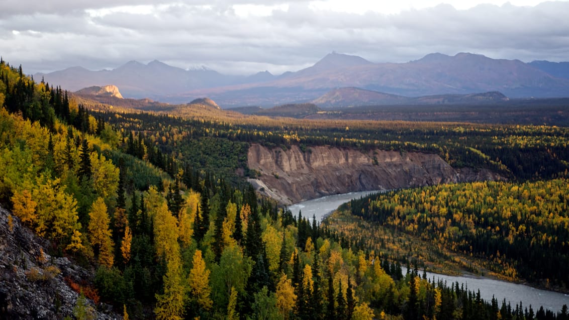 Denali National Park, Alaska