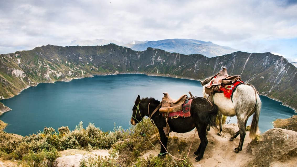 Tag med Jysk Rejsebureau på eventyr i Ecuador og på Galapagos