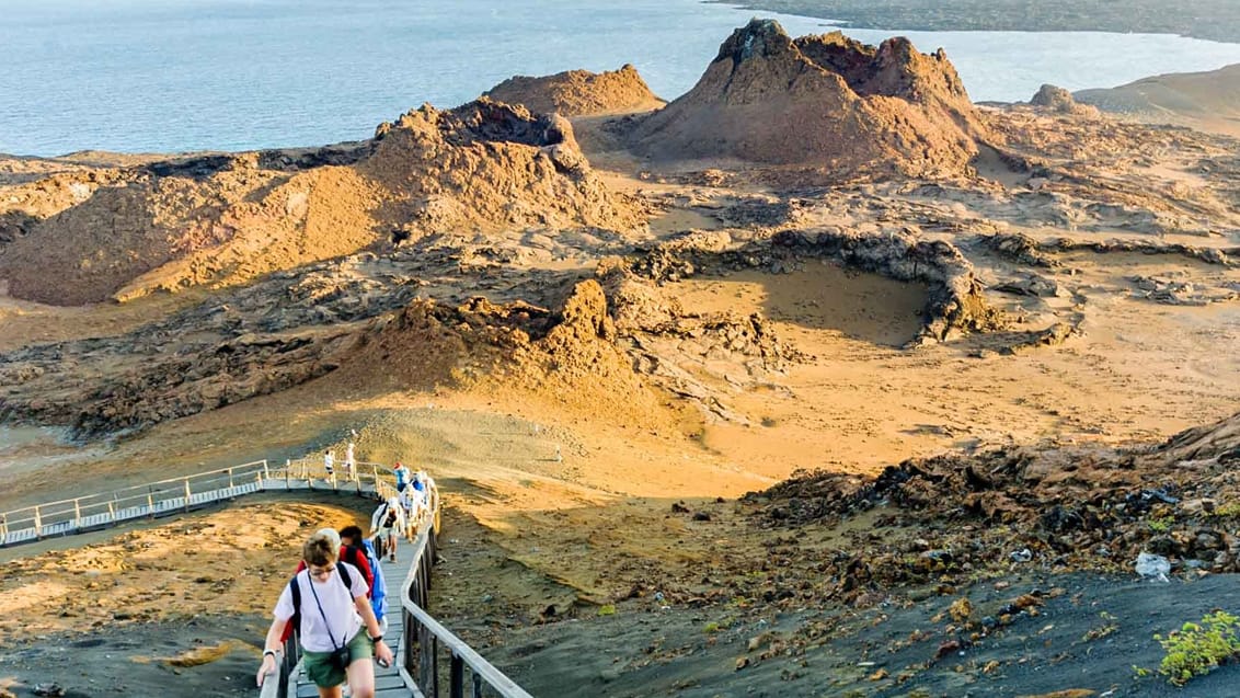 De vulkaniske formationer er spektakulære på Bartolomé og vidner om Galapagos voldsomme naturkræfter. Der findes tilmed en mindre koloni af Galapagos pingviner
