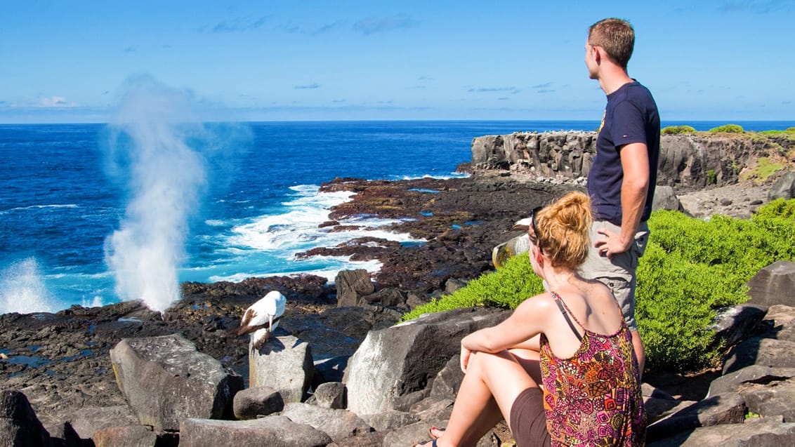 Tag med Jysk Rejsebureau på eventyr i Ecuador og på Galapagos