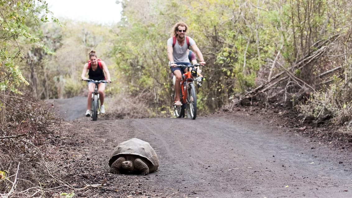 Tag med Jysk Rejsebureau på eventyr i Ecuador og på Galapagos