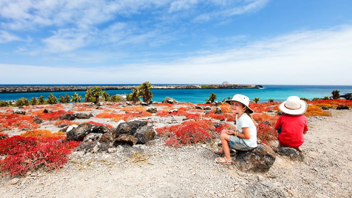 Tag med Jysk Rejsebureau på eventyr i Ecuador og på Galapagos