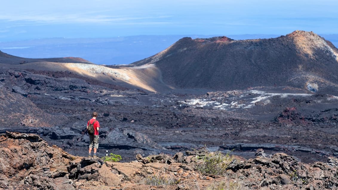 Tag med Jysk Rejsebureau på eventyr i Ecuador og på Galapagos