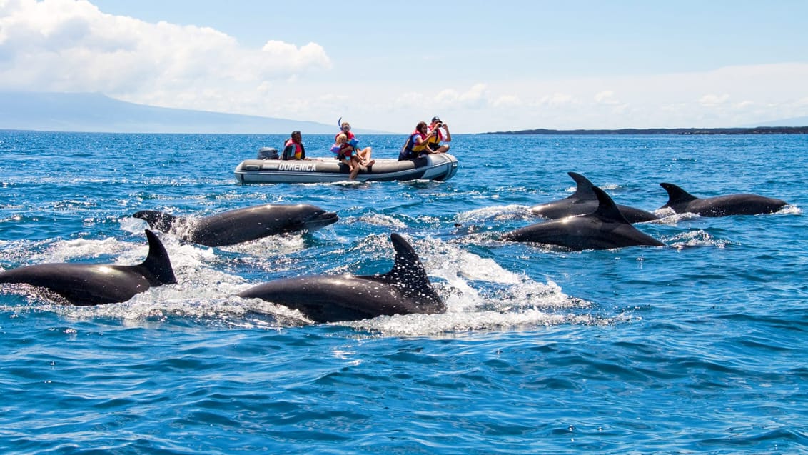 Tag med Jysk Rejsebureau på eventyr i Ecuador og på Galapagos