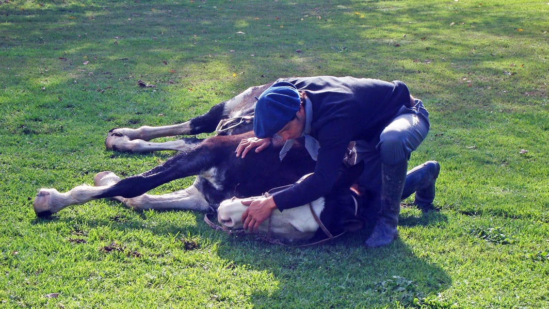 Estancia Ombu, Argentina