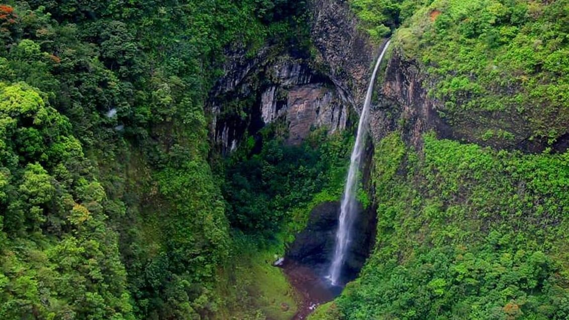 Fataua Valley, Tahiti