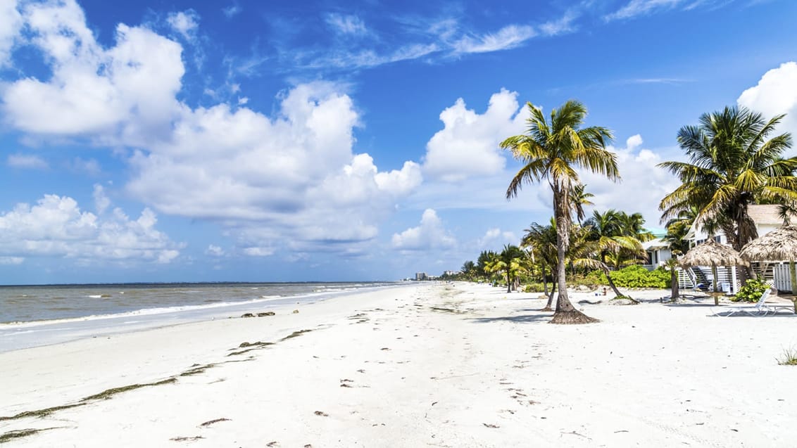 Nyd stranden og oplev Sanibel Island i kajak ved Fort Myers