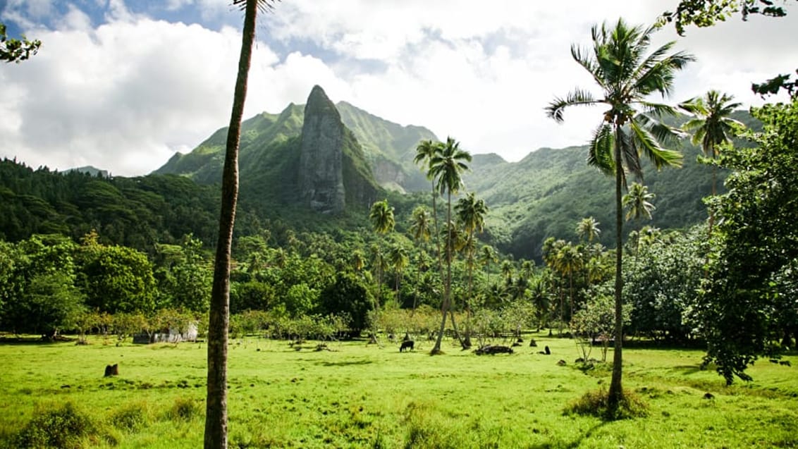 Fransk Polynesien