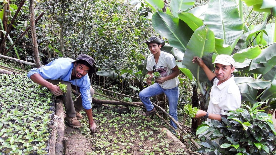 Frivilligt arbejde i Ecuador