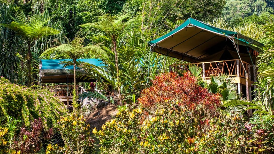 Glamping er en luksus camping form som findes flere steder i Costa Rica.