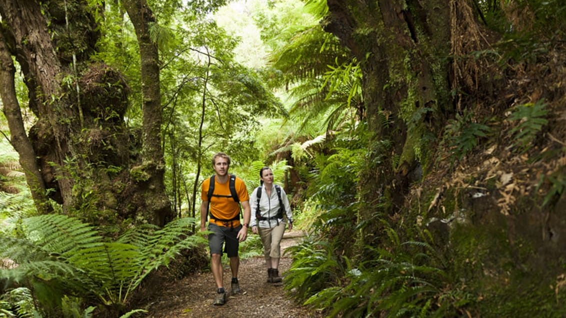 Great Ocean Walk, Victoria, Australien