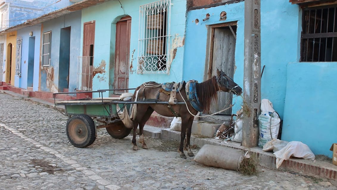 Hestevogn, Cuba